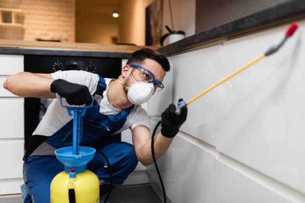 Best Exterminator Services  in Bayou Vista, LA