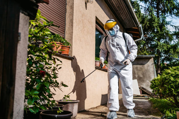 Best Ant Control Services  in Bayou Vista, LA
