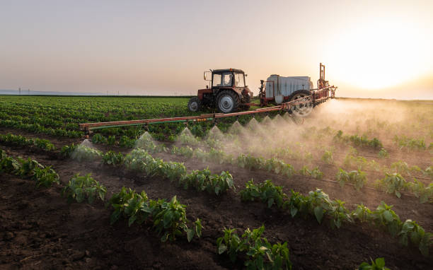 Best Best Pest Control Companies  in Bayou Vista, LA