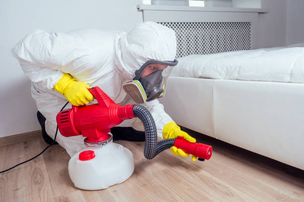 Best Pest Prevention Services  in Bayou Vista, LA