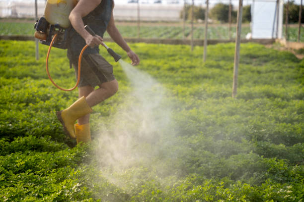 Best Wildlife Control Services  in Bayou Vista, LA