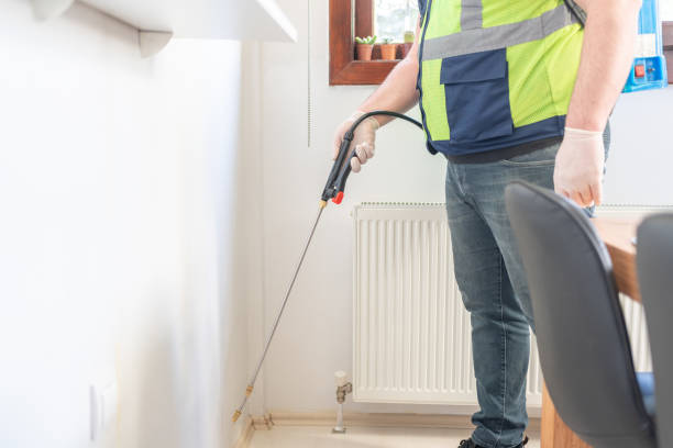 Reliable Bayou Vista, LA Pest Control Solutions