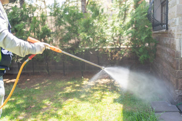 Best Wasp Removal Services  in Bayou Vista, LA