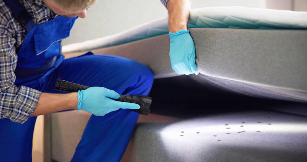 Best Commercial Pest Control Services  in Bayou Vista, LA