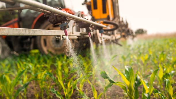 Best Mosquito Control Services  in Bayou Vista, LA